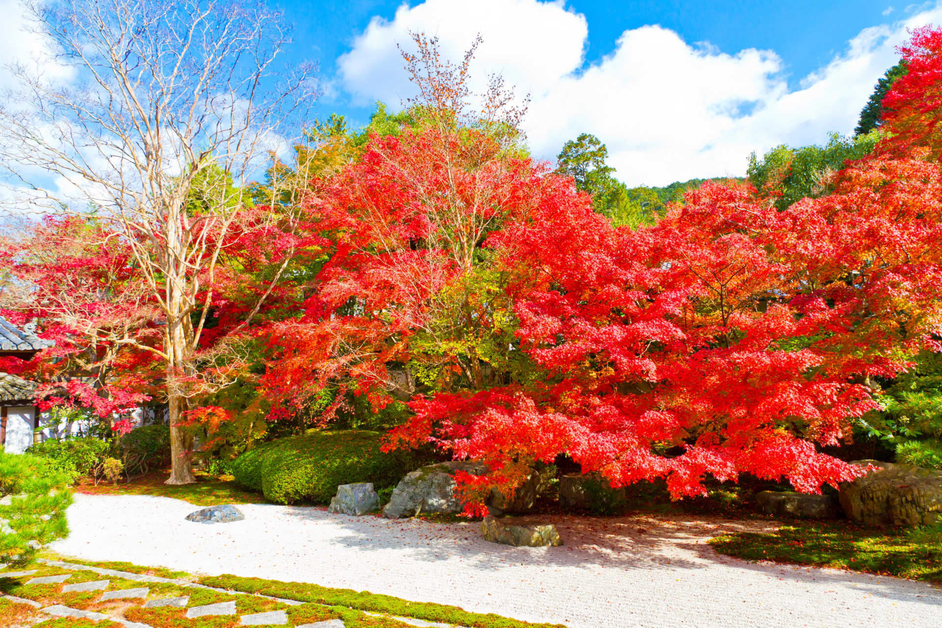 南禅寺・天授庵の紅葉