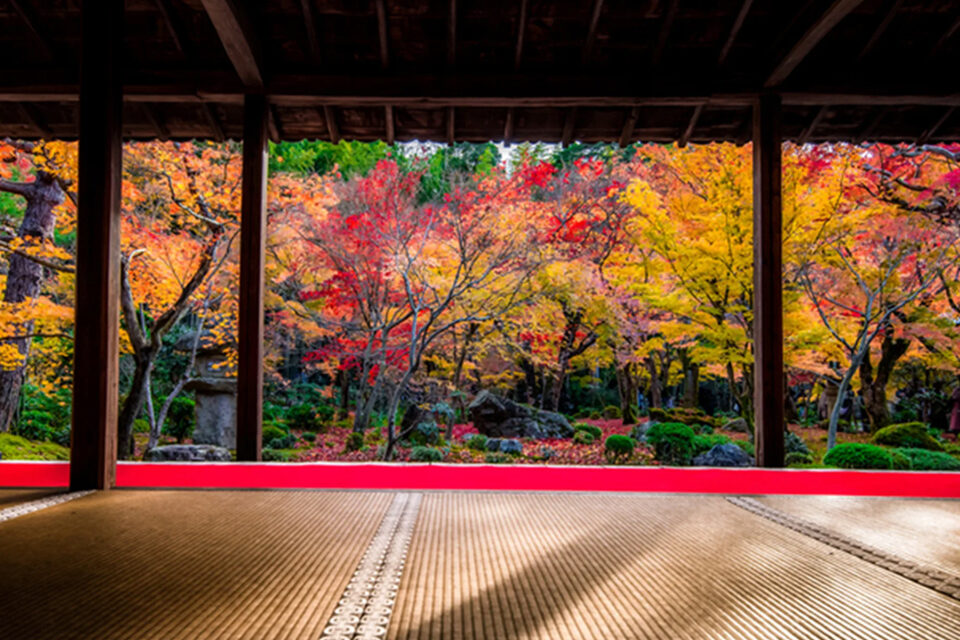 京都 圓光寺 十牛之庭 紅葉
