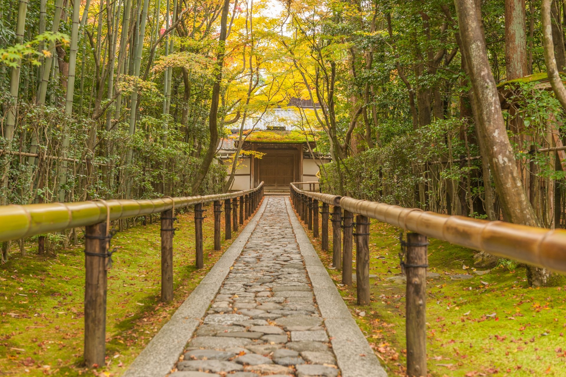 大徳寺