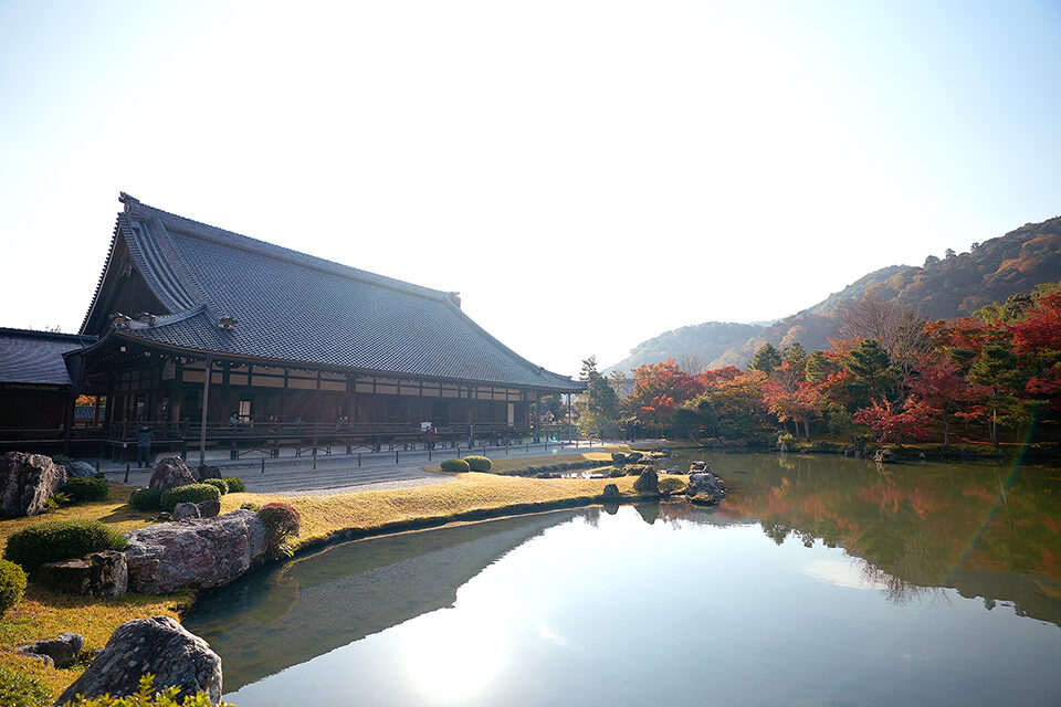 天龍寺 池泉回遊式庭園 紅葉