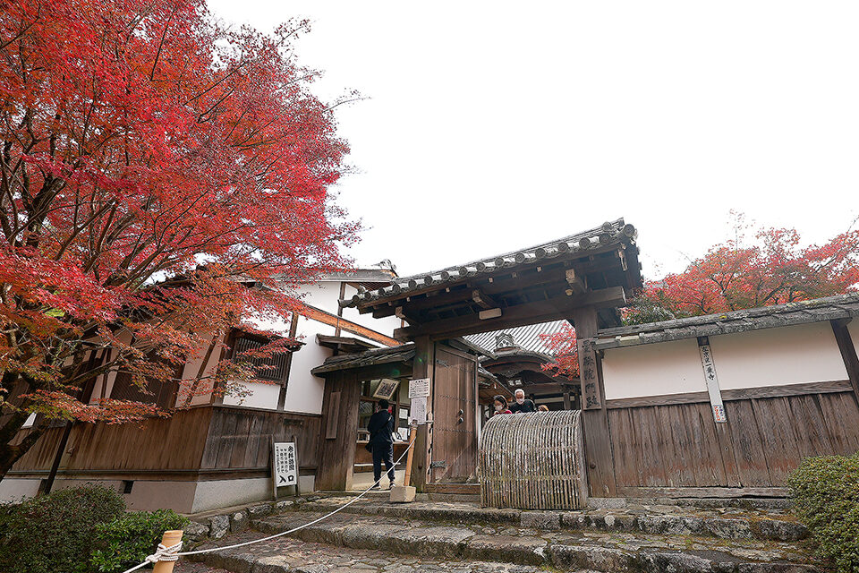 曼殊院門跡 京都 紅葉