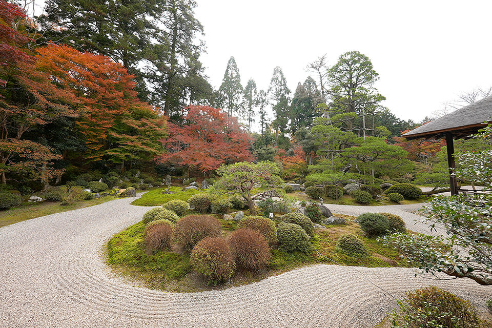 曼殊院 枯山水庭園 京都 紅葉