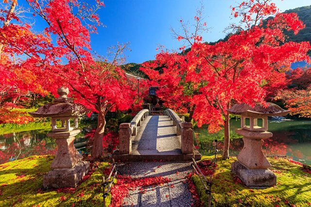 京都 永観堂の紅葉2