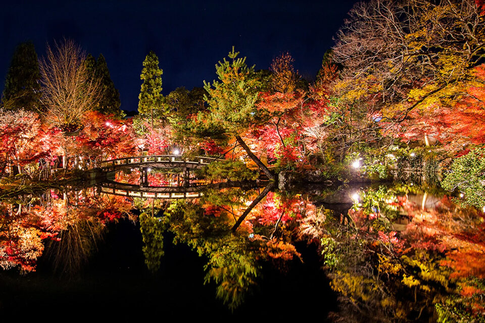 永観堂 京都 紅葉