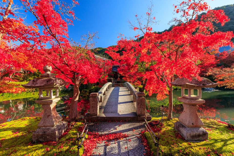 京都　永観堂