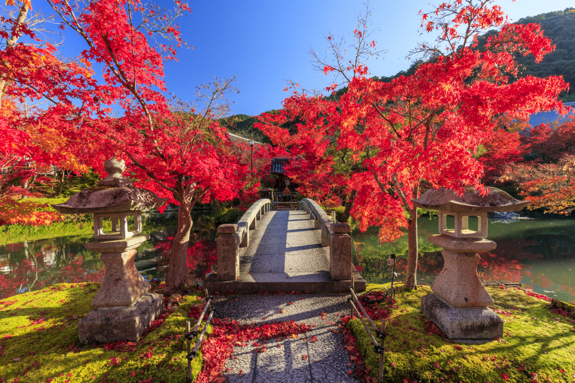 永観堂の紅葉