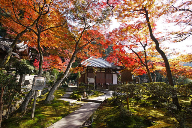 清閑寺