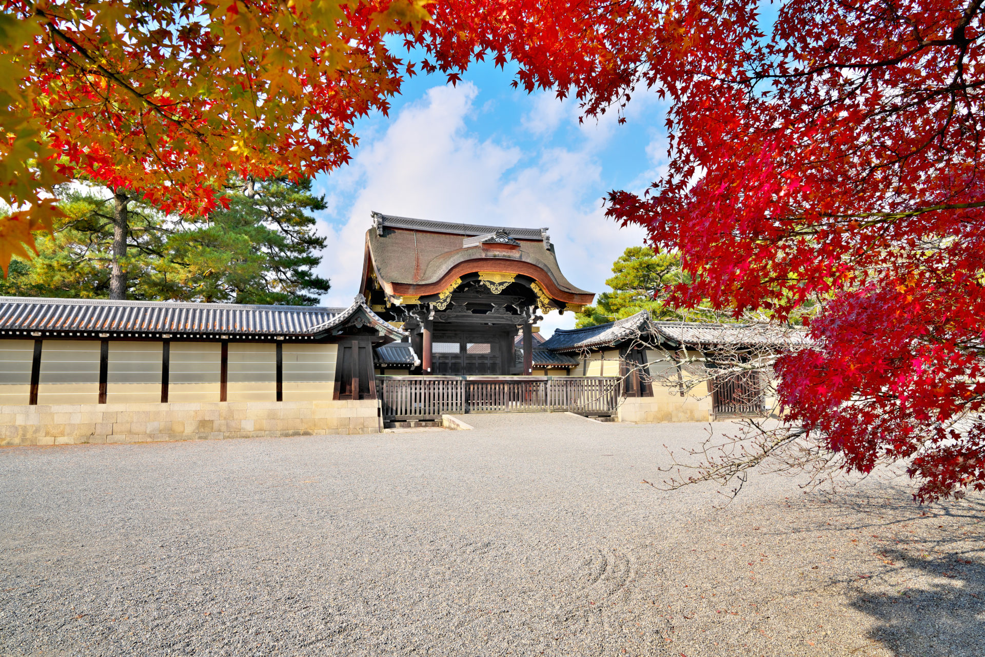 錦秋の京都御苑