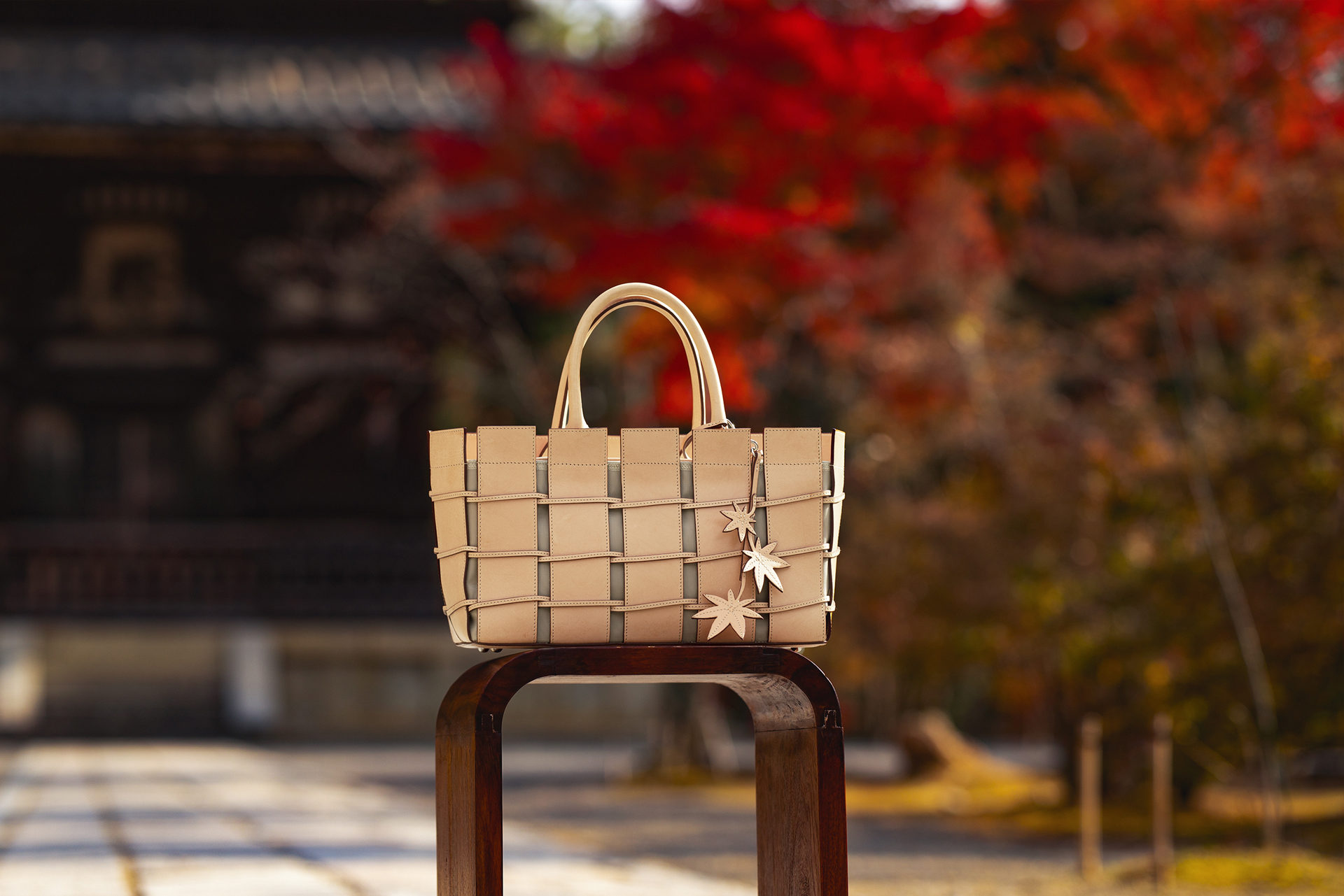 zima caede京都