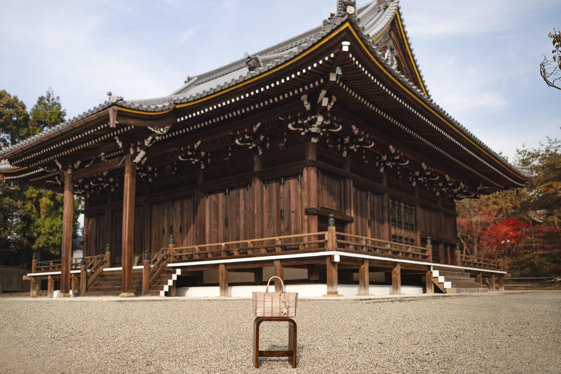 zima caede京都