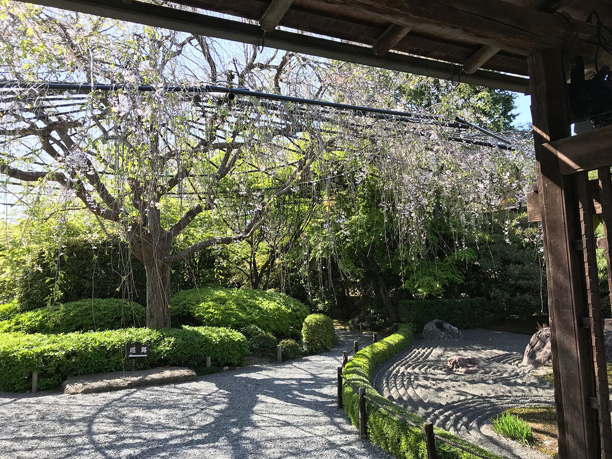 妙心寺退蔵院 京都