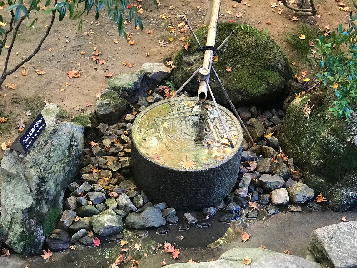 龍安寺 つくばい 京都