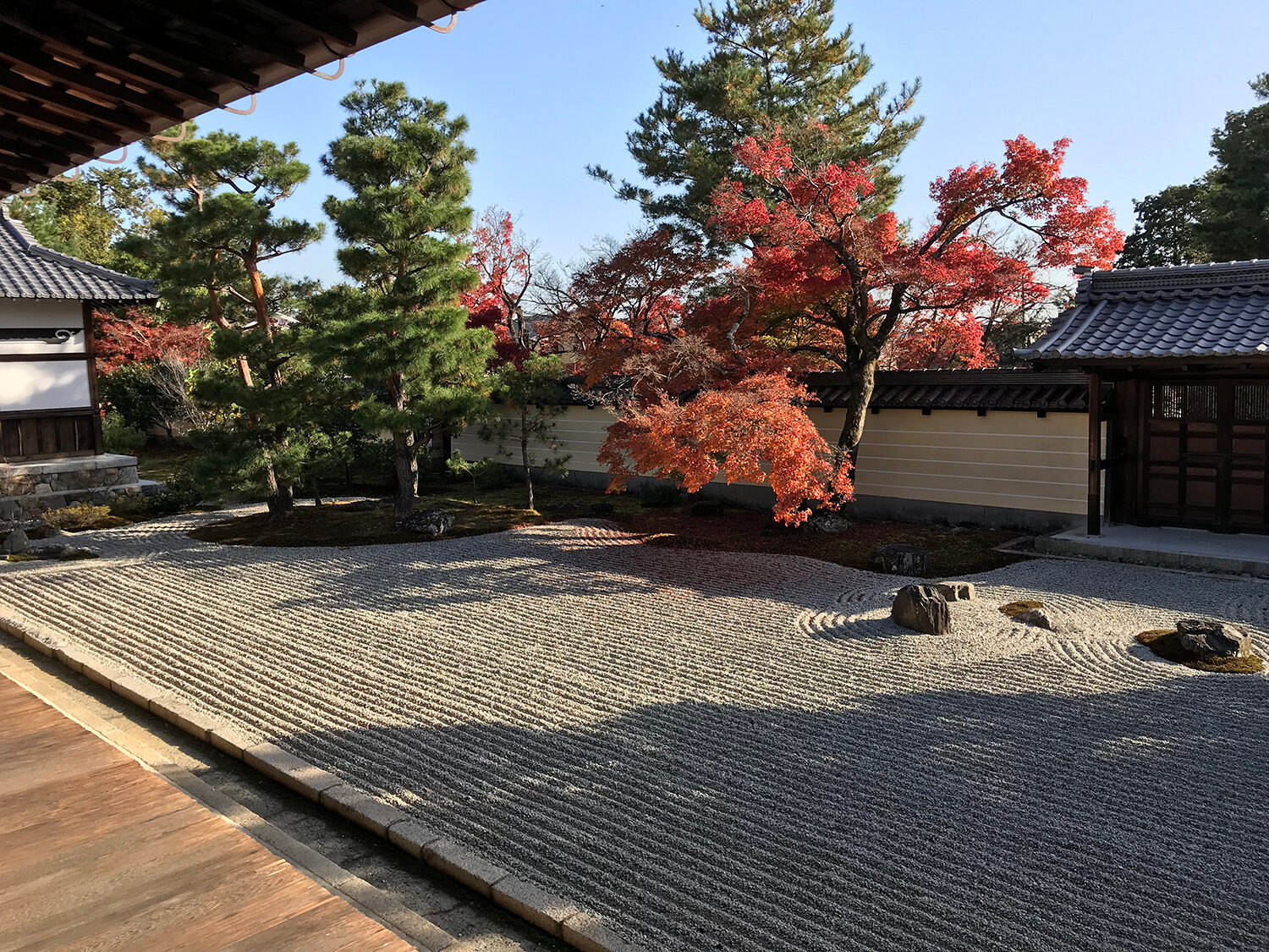 等持院 京都 紅葉