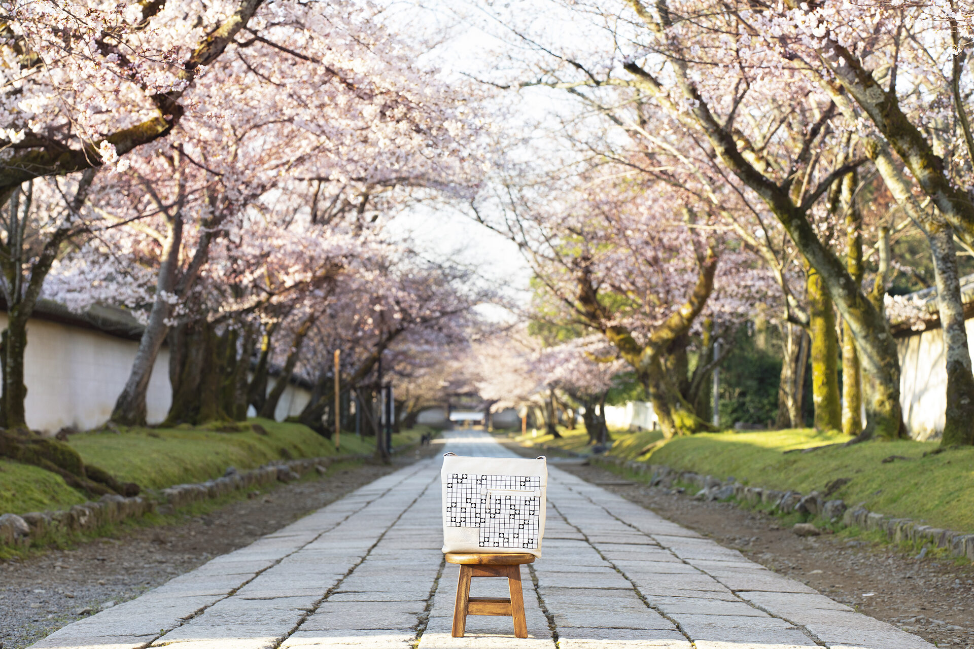 醍醐寺 桜