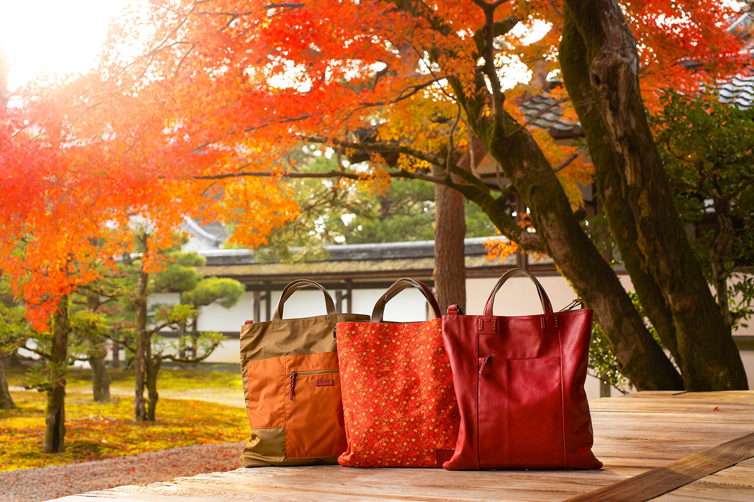 仁和寺 紅葉 辰殿