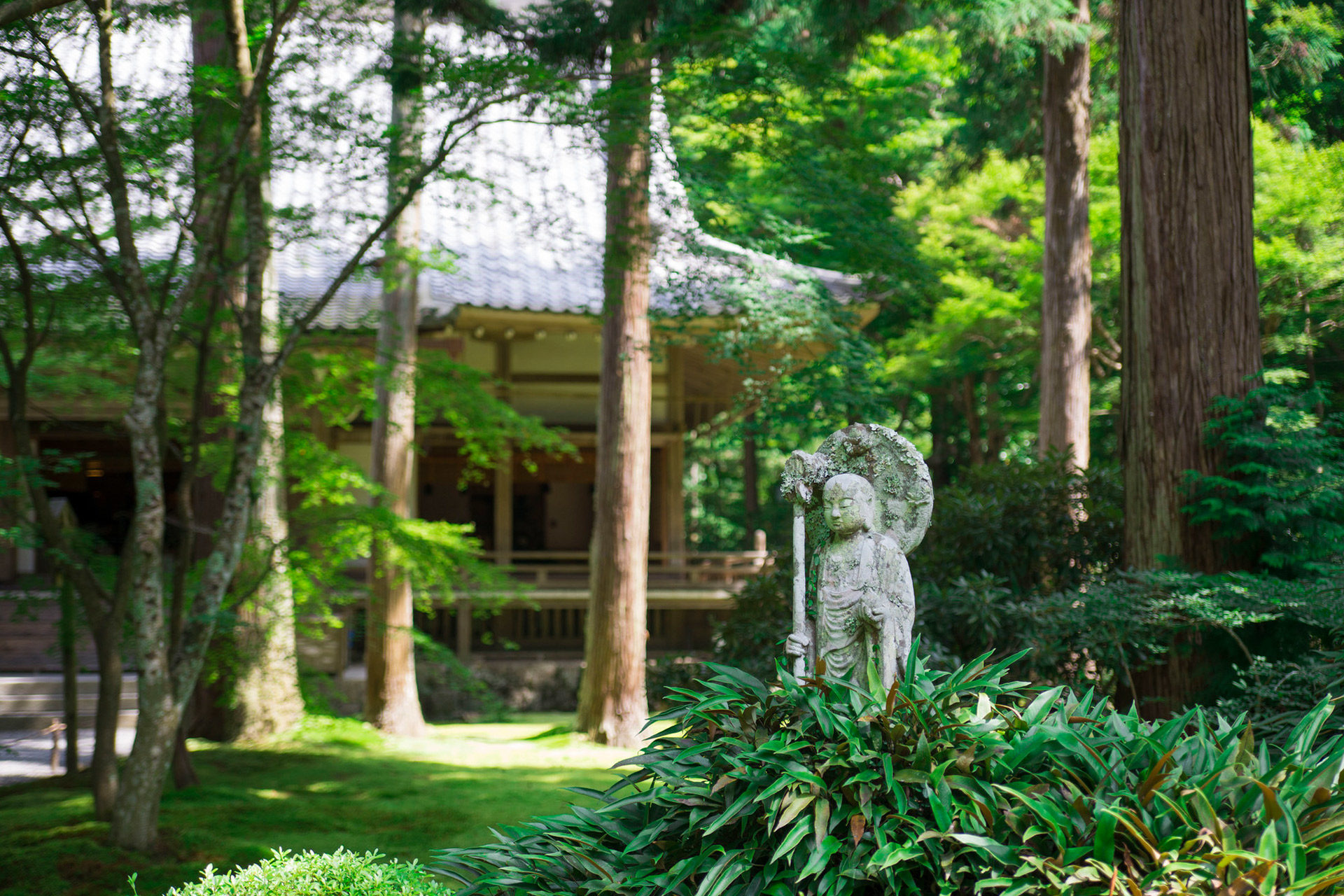 京都-三千院-夏