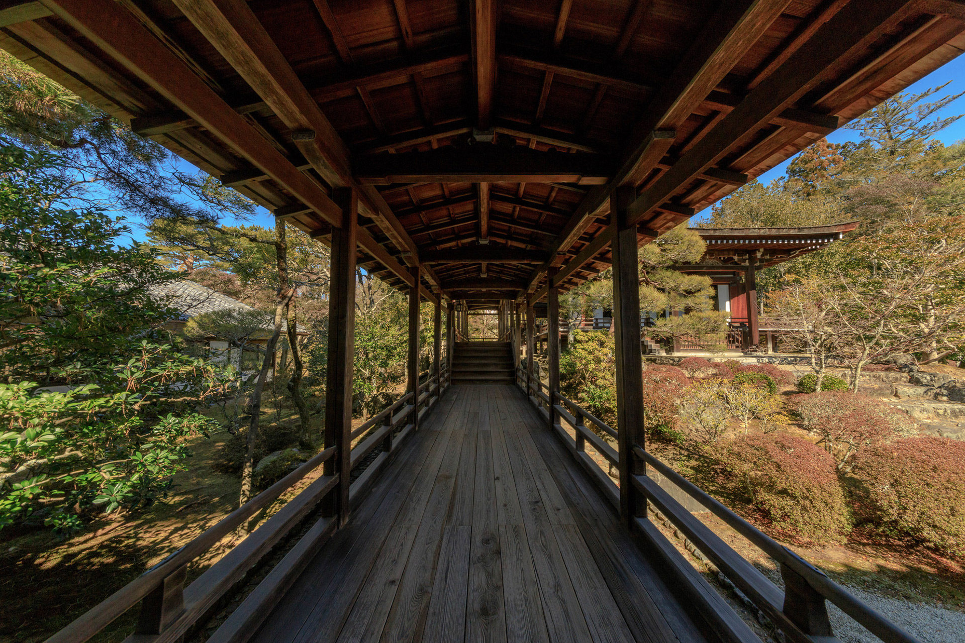 京都-仁和寺-イメージ