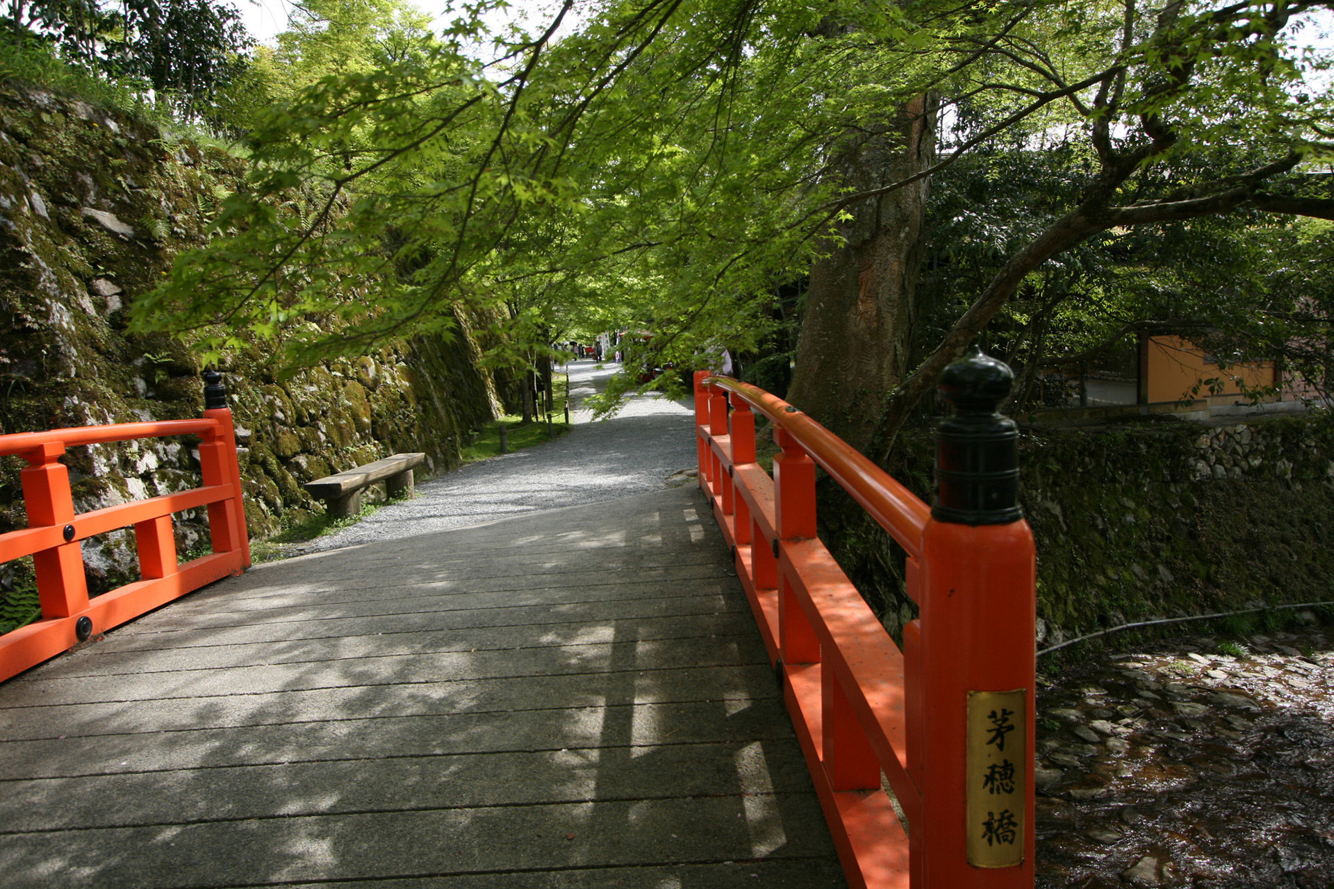 京都-勝林寺-イメージ
