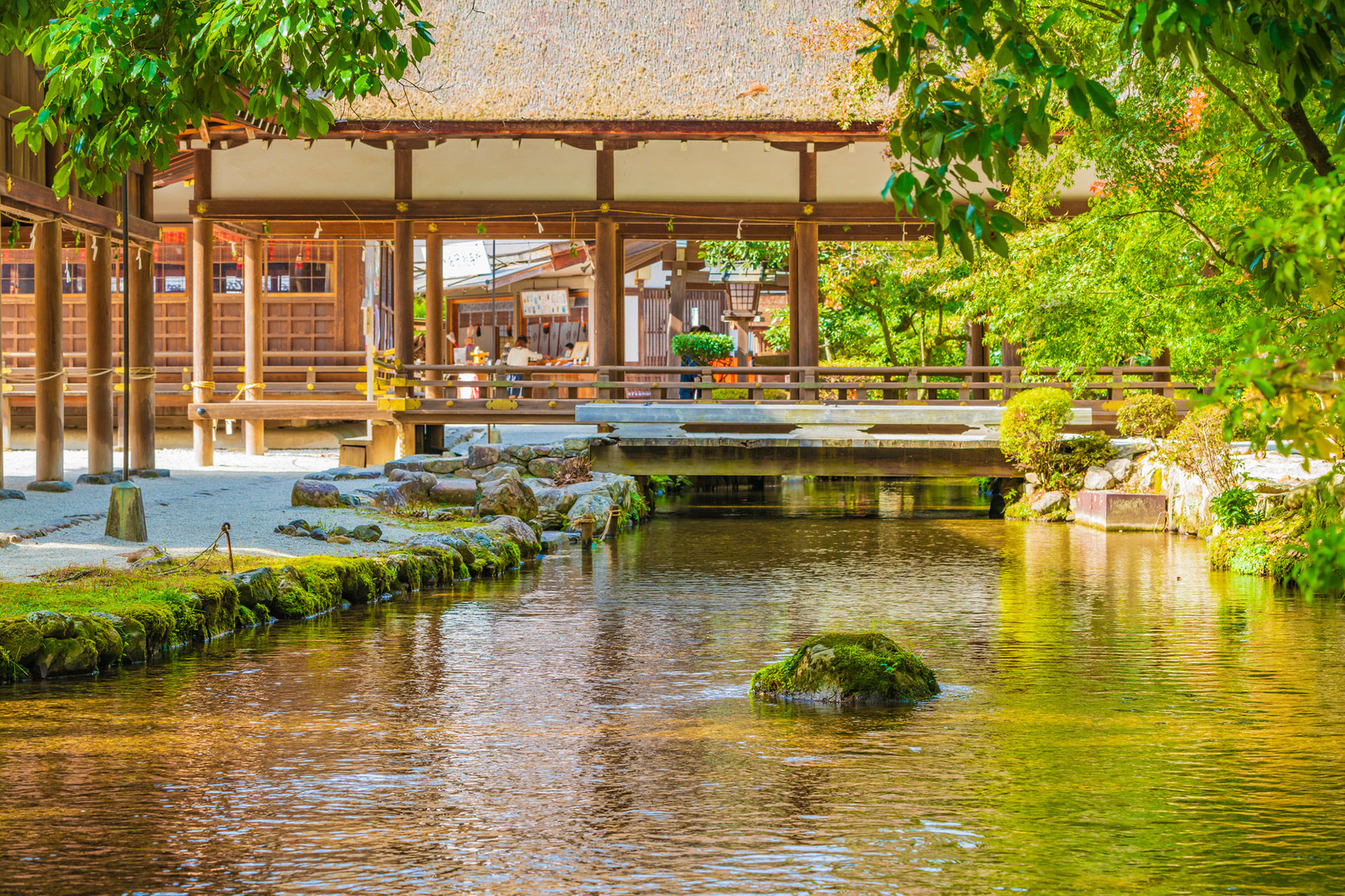 京都-夏-イメージ