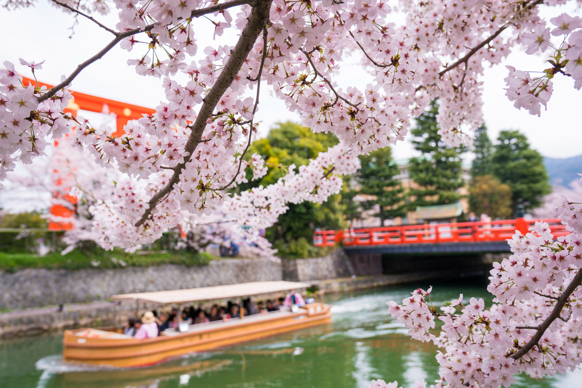 京都-岡崎疎水-舟