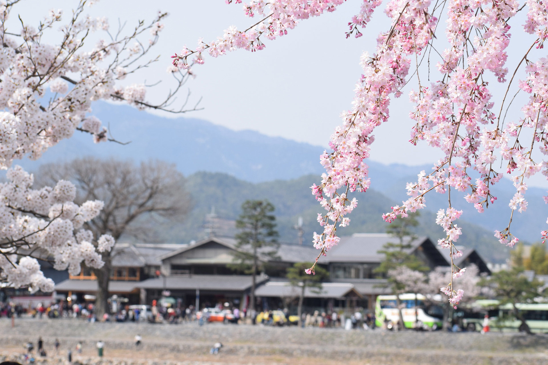 京都-嵐山-イメージ