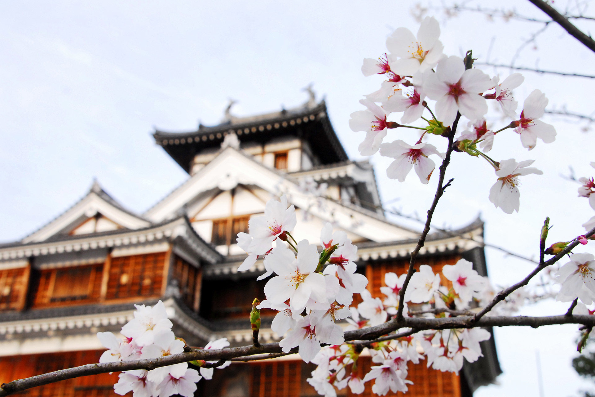京都-福知山城-イメージ