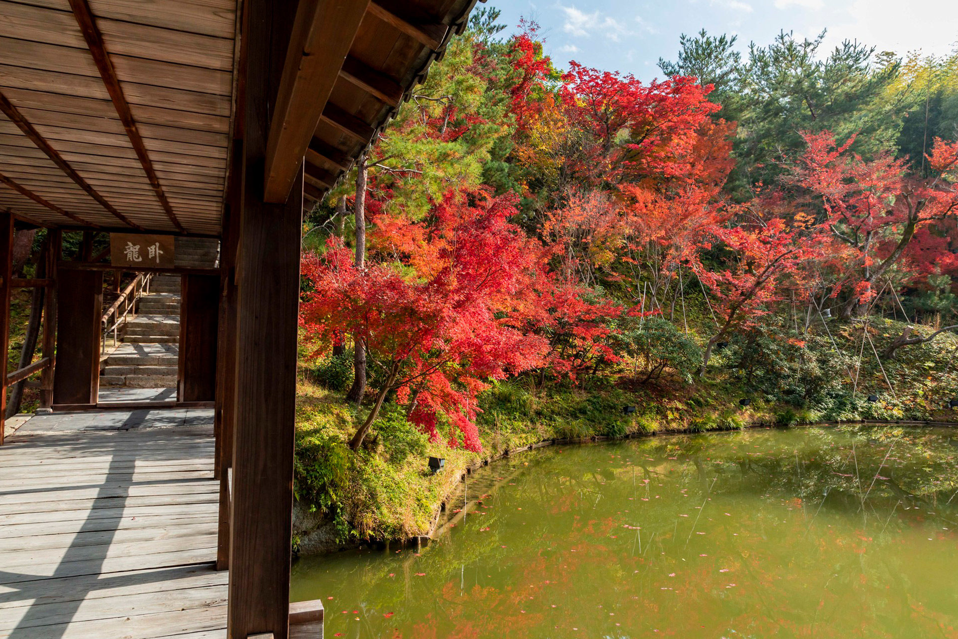 京都-高台寺-秋