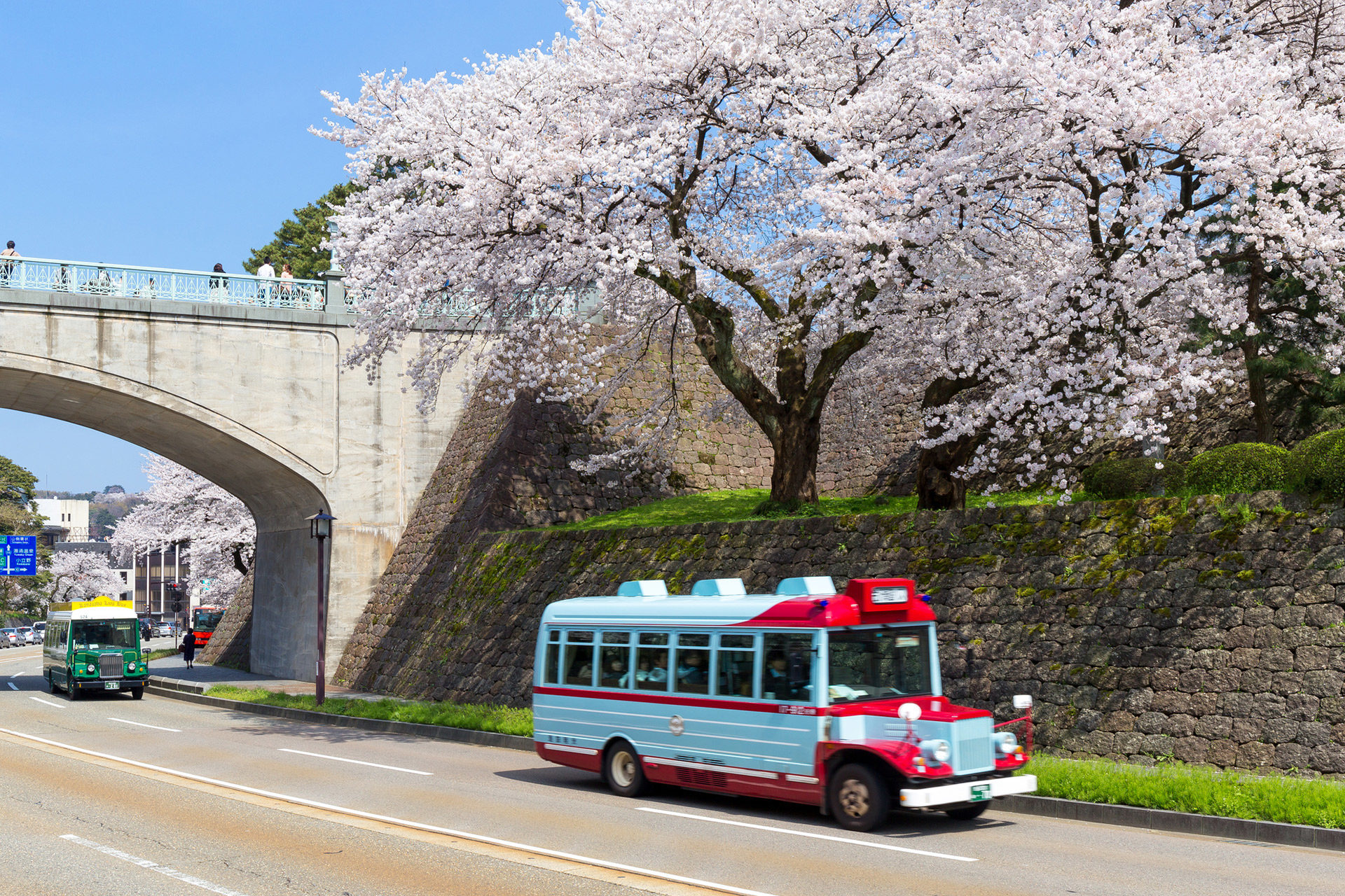 桜-バスツアー-イメージ