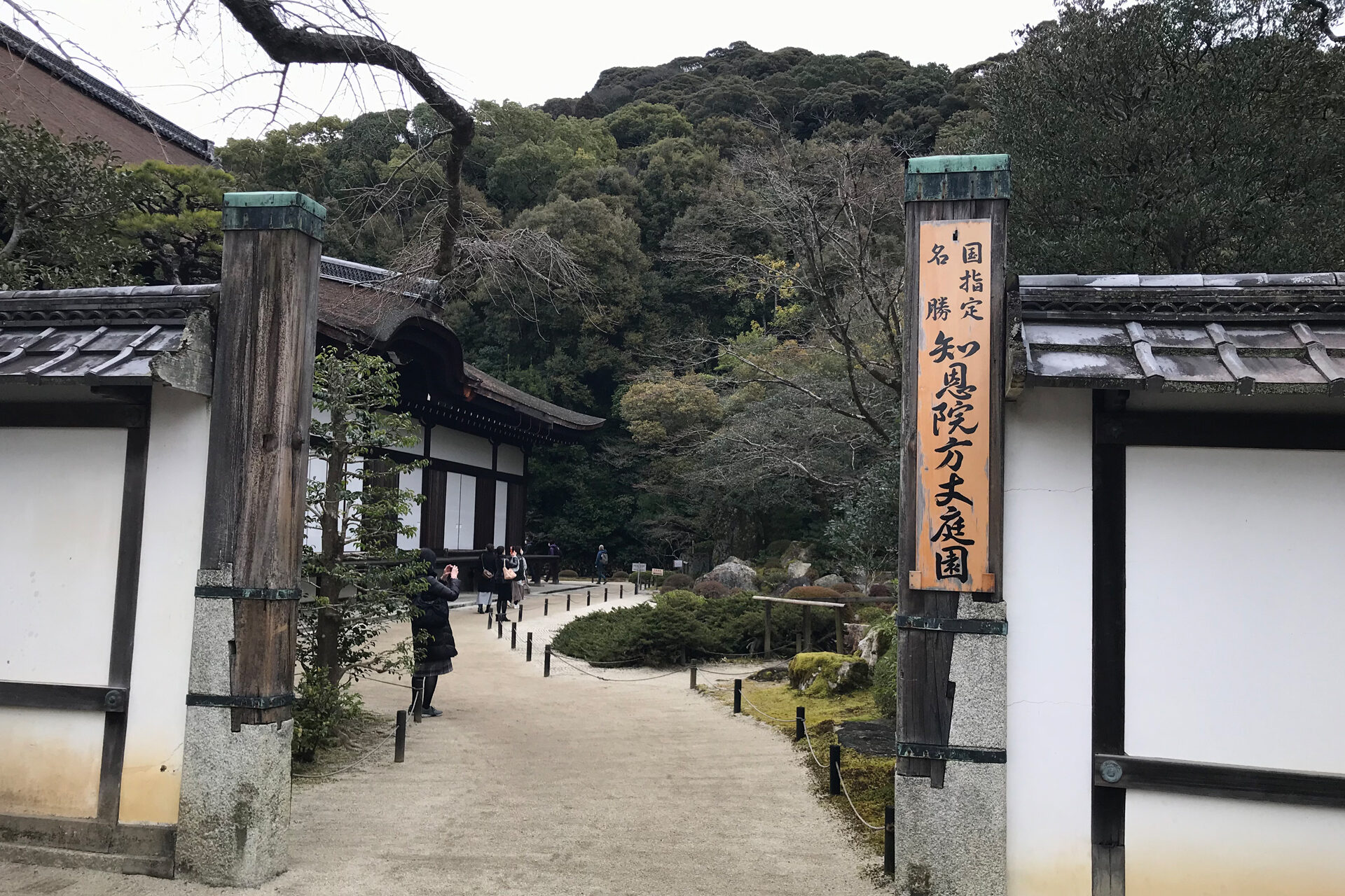 知恩院 山門 桜 京都