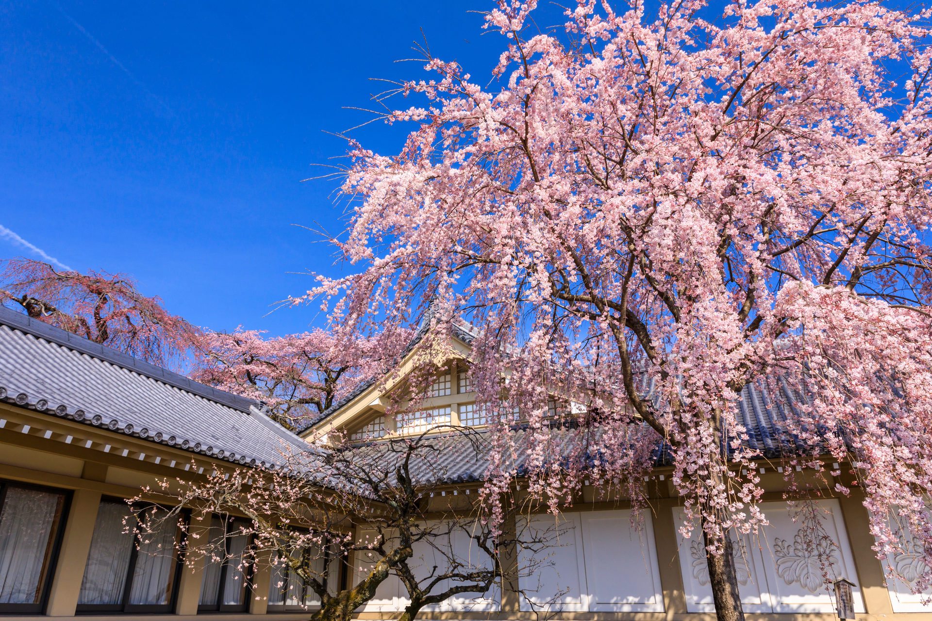 醍醐寺