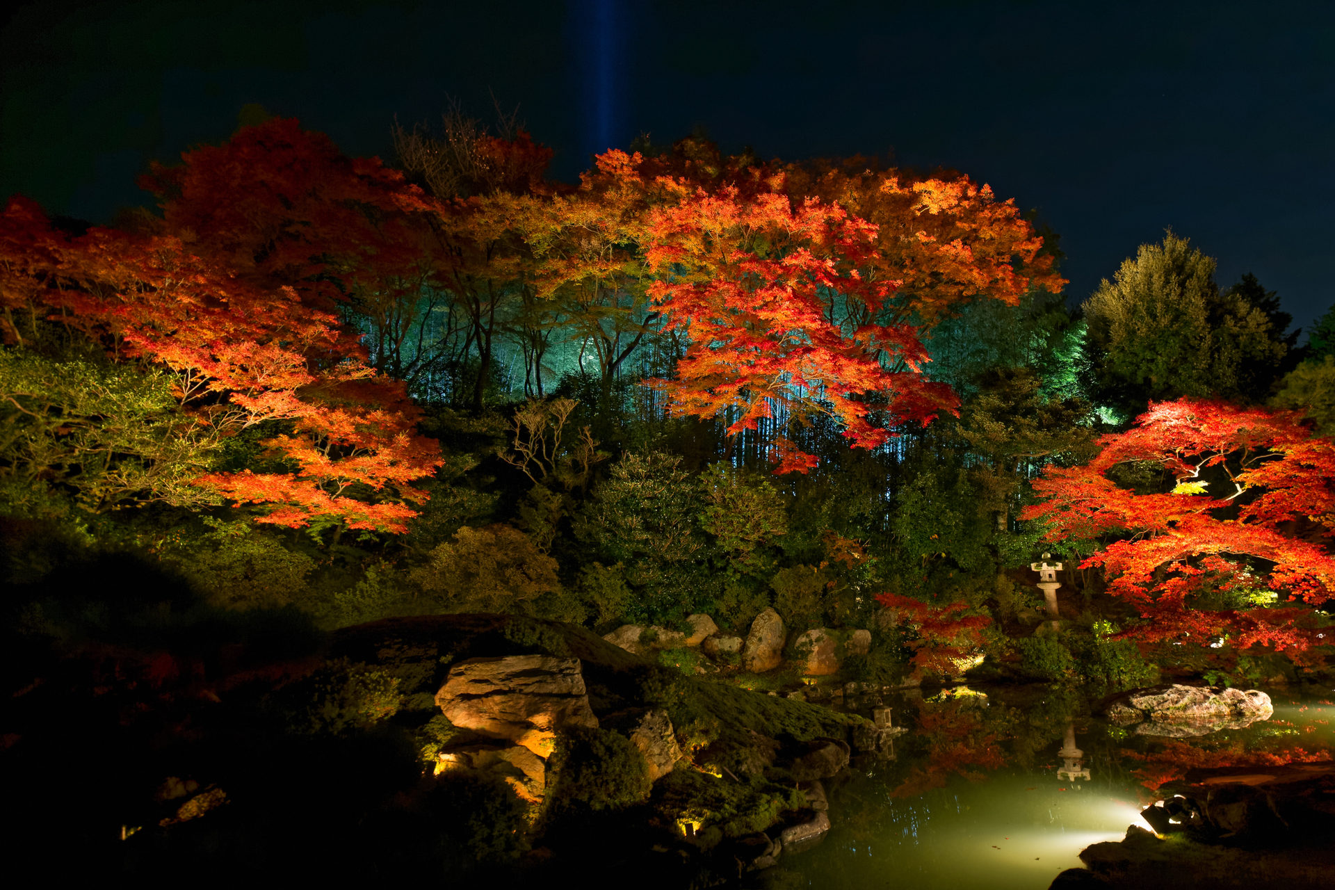 青蓮院・ライトアップ