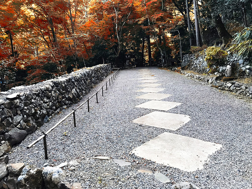高山寺 紅葉 京都