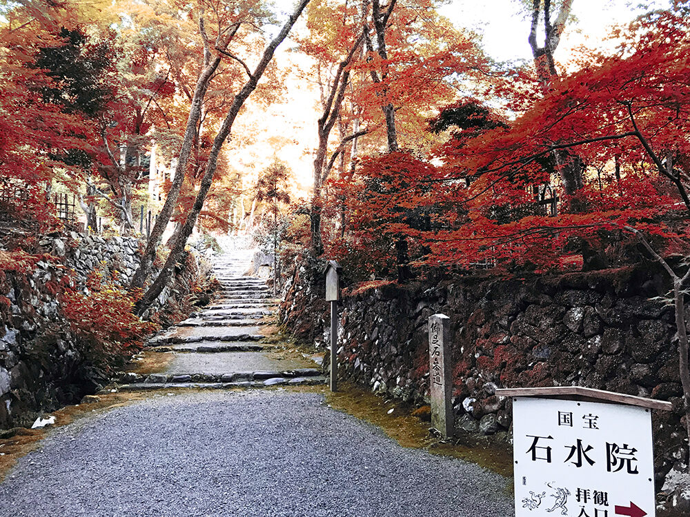 高山寺 紅葉 京都
