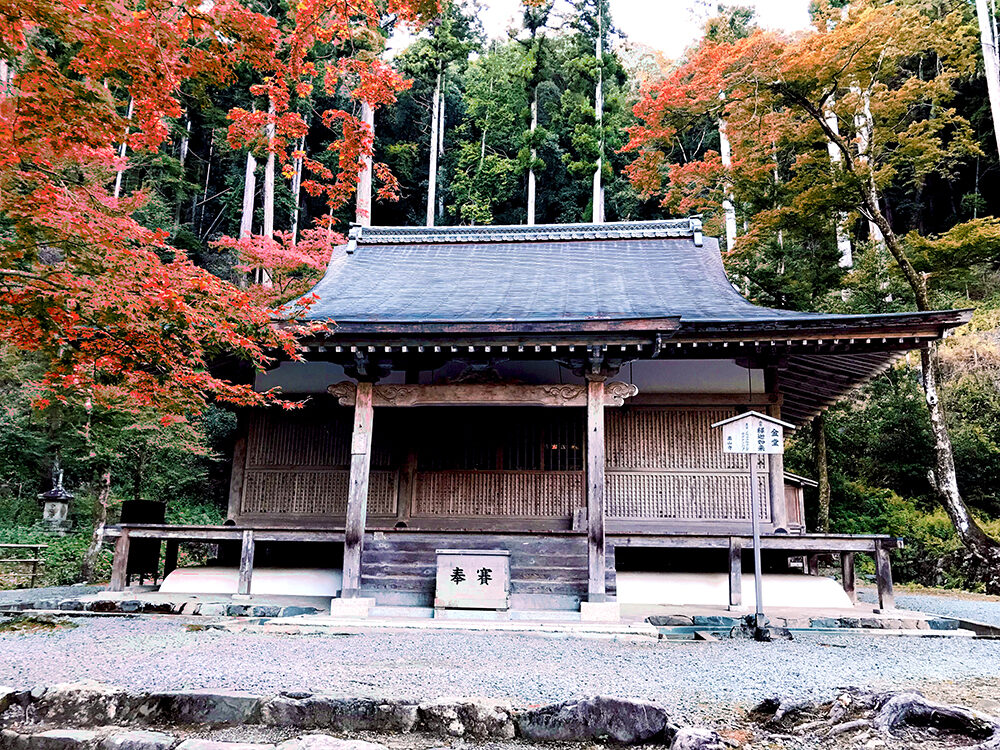 高山寺 紅葉 京都