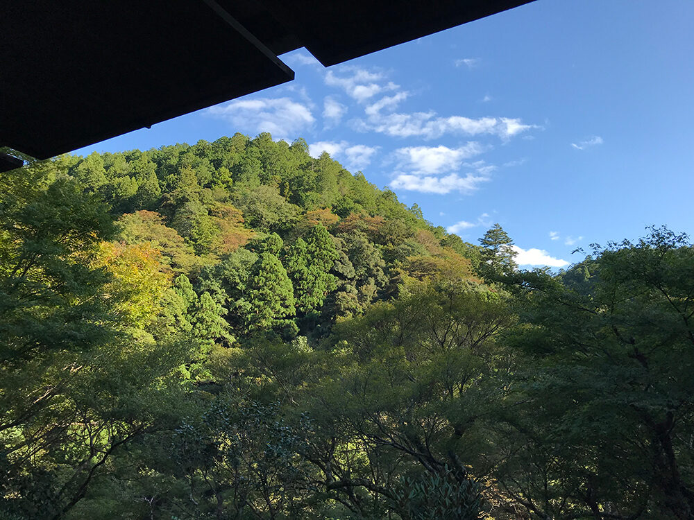 高山寺 紅葉 京都