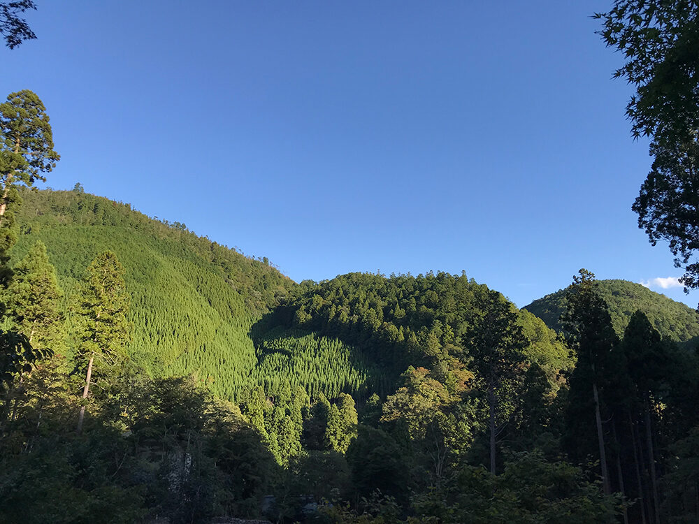 高山寺 三尾 京都