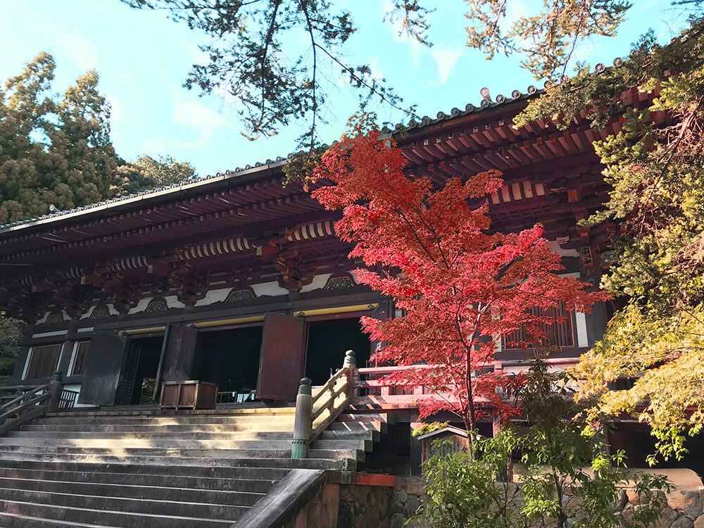 神護寺 紅葉