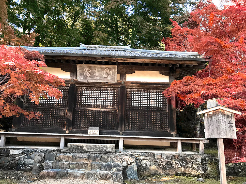 神護寺 紅葉