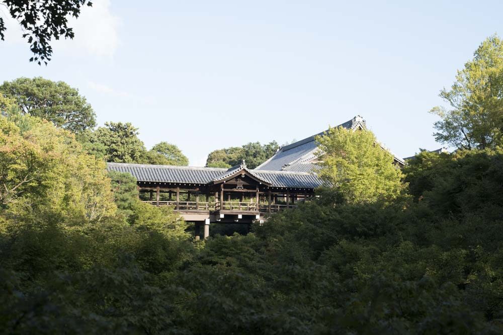 通天橋 青紅葉 京都