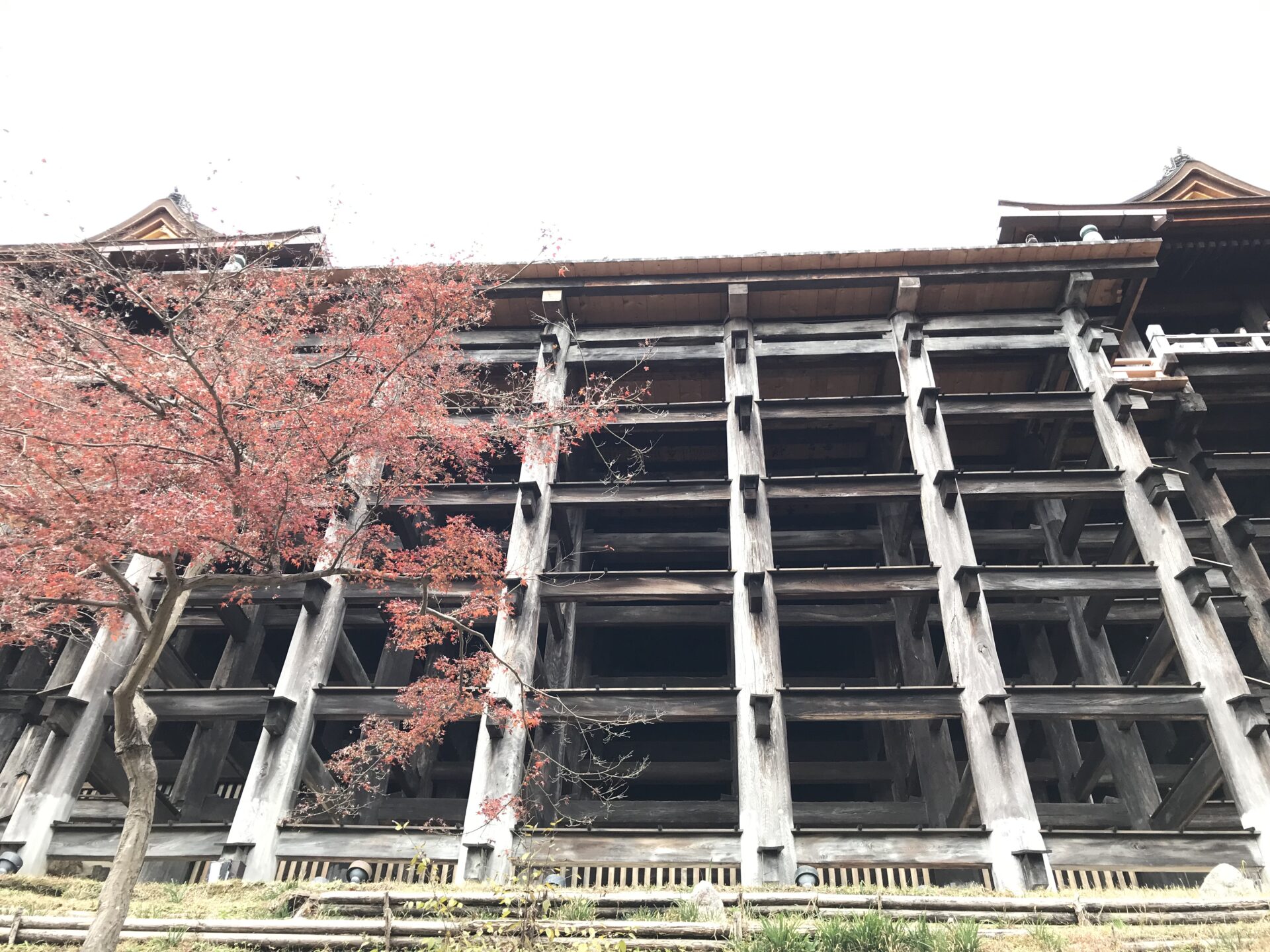 清水の舞台