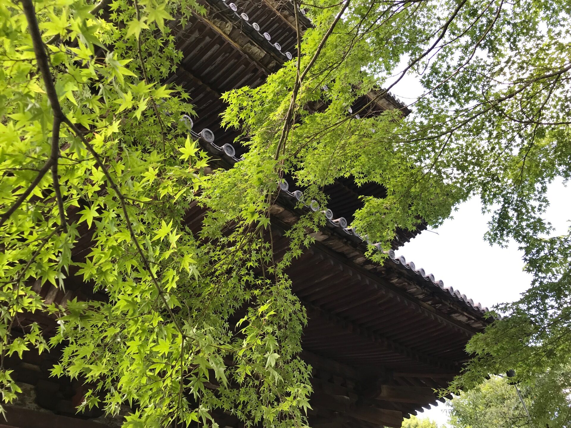 二年坂と八坂の塔