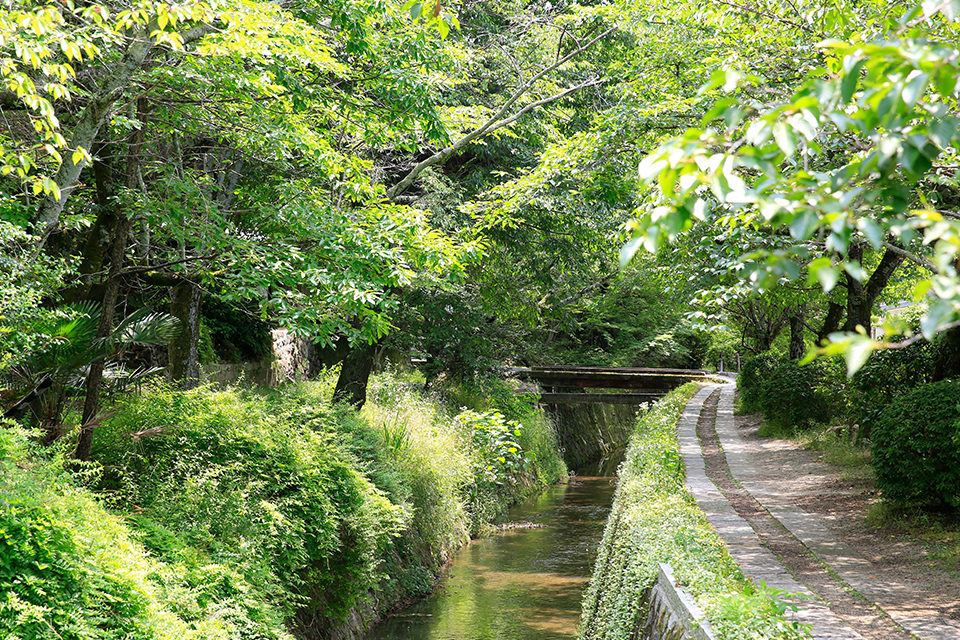 京都_哲学の道