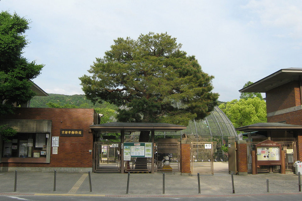 京都市動物園