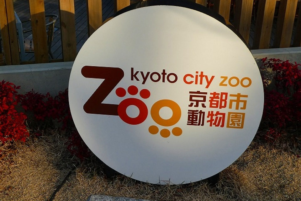 京都市動物園