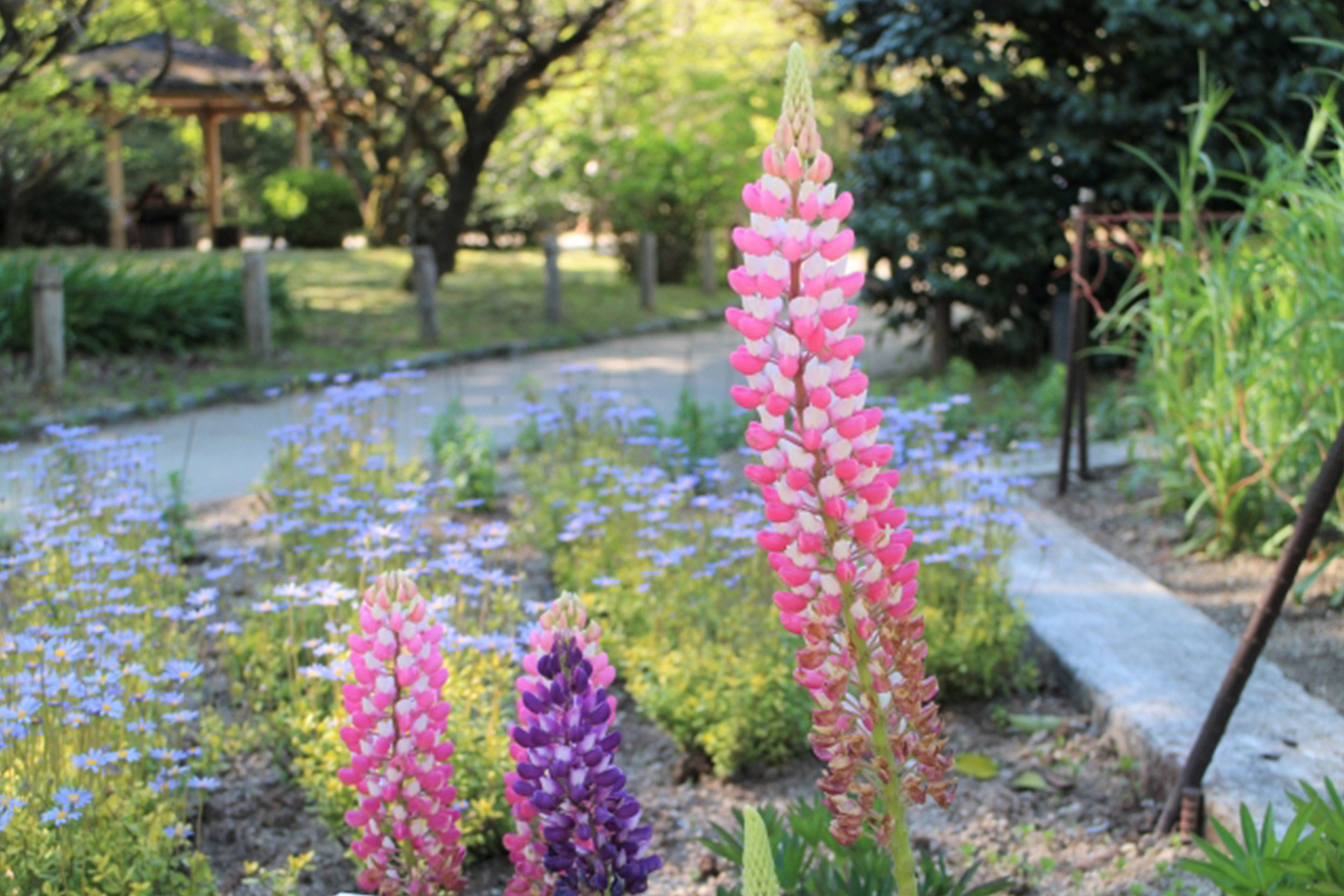 京都植物園
