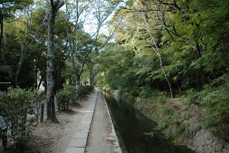 冬の哲学の道