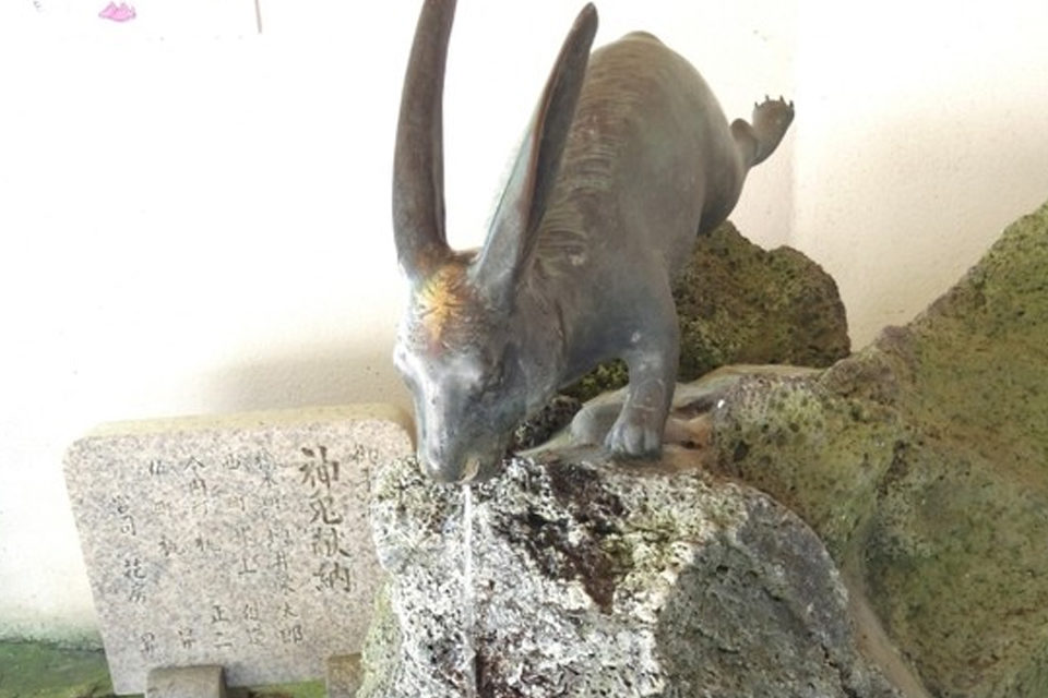 宇治神社うさぎ