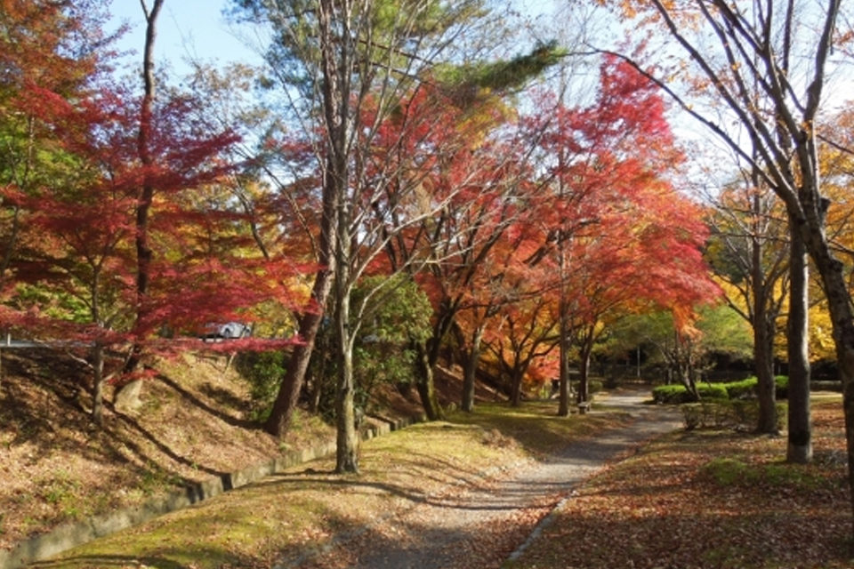 宝が池公園