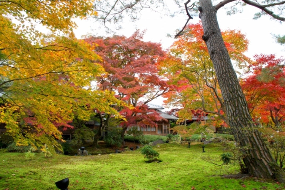 宝厳院