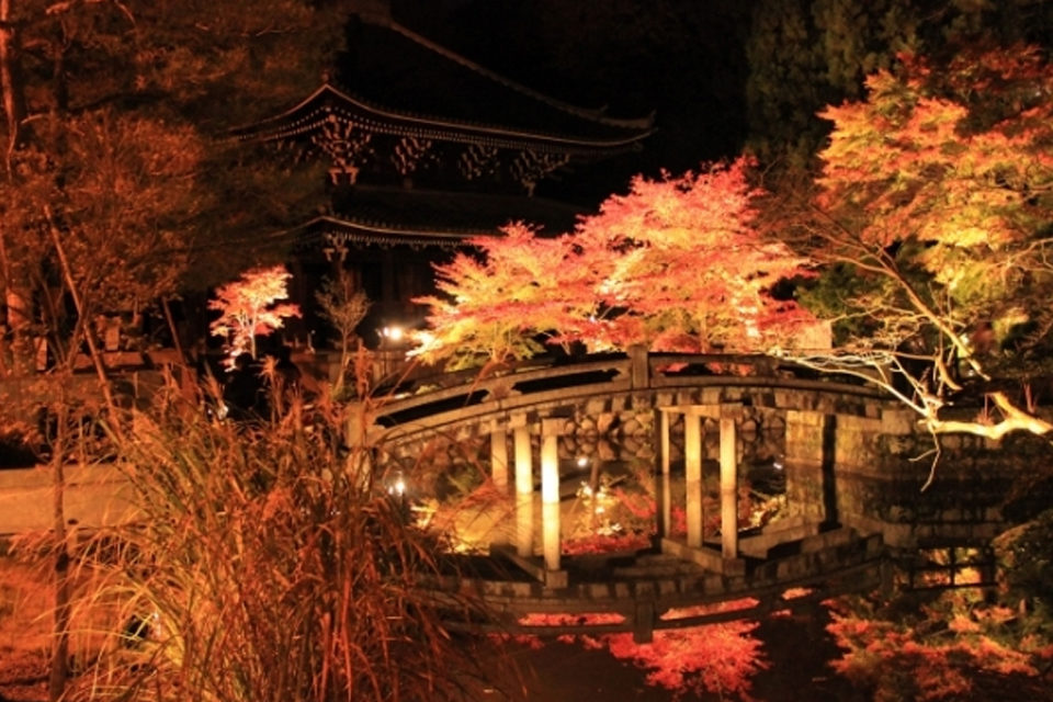 知恩院の紅葉
